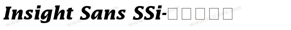 Insight Sans SSi字体转换